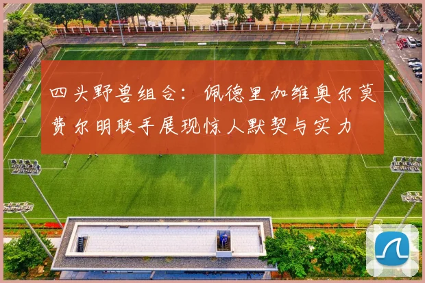 四头野兽组合：佩德里加维奥尔莫费尔明联手展现惊人默契与实力
